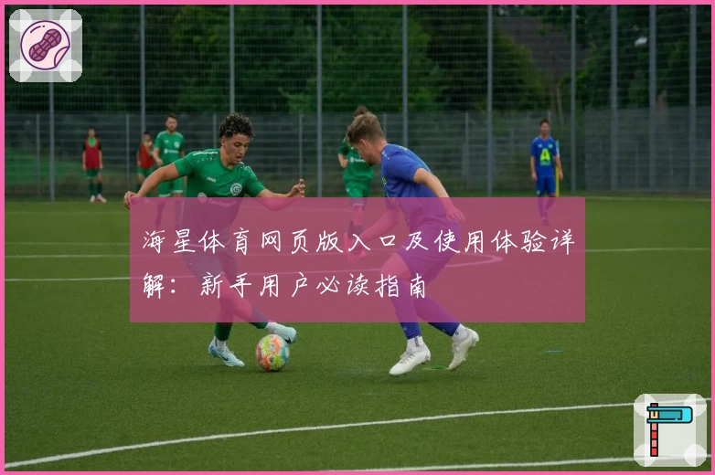海星体育网页版入口及使用体验详解:新手用户必读指南