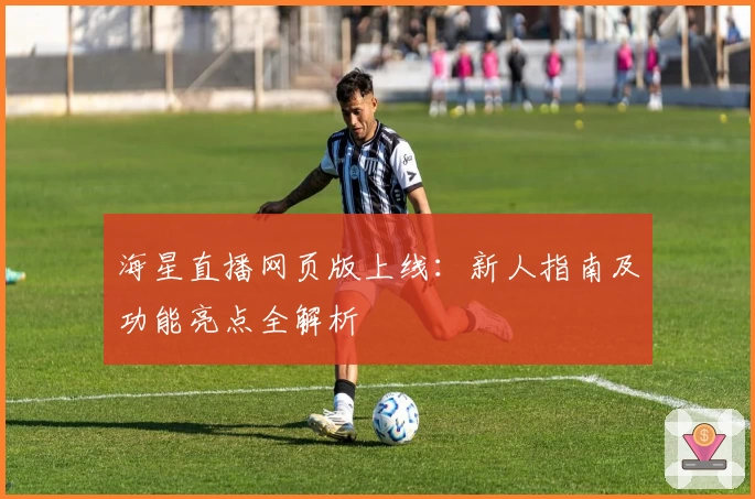 海星直播网页版上线：新人指南及功能亮点全解析