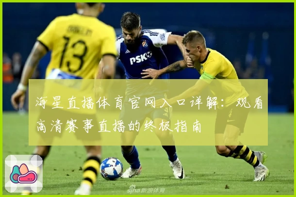 海星直播体育官网入口详解：观看高清赛事直播的终极指南